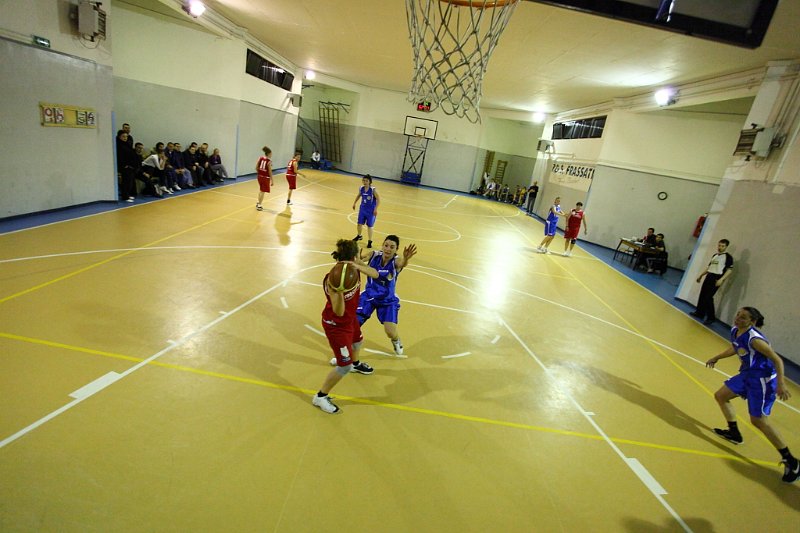 Basket 443112
